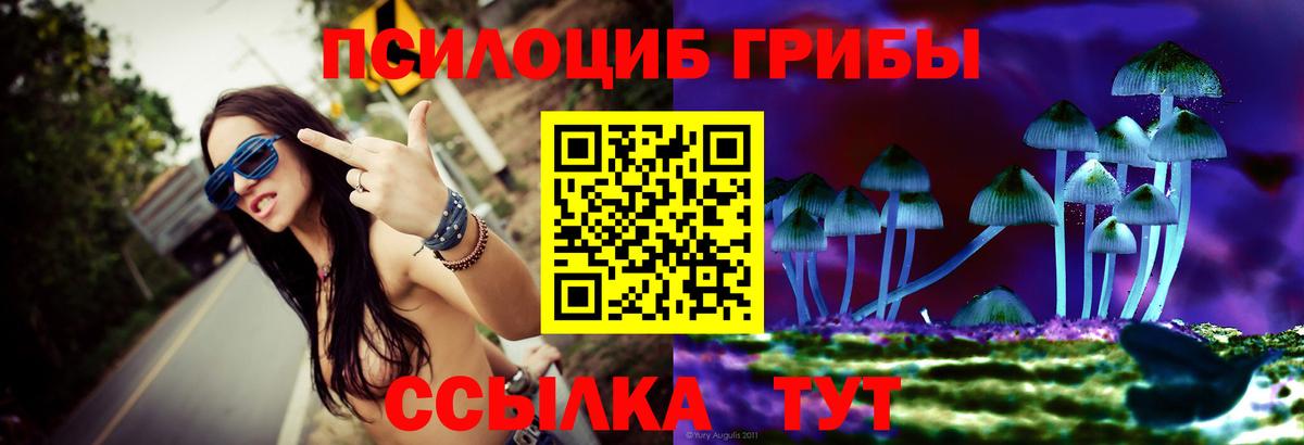 Иваново  Галлюциногенные грибы Psilocybine cubensis  Вход с VPN 